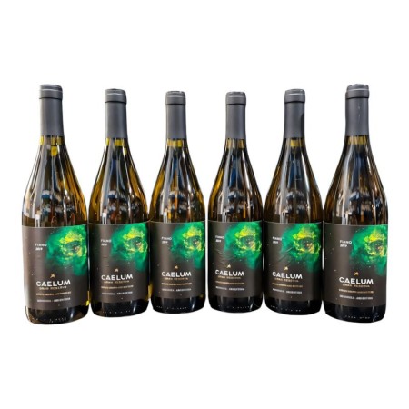 KIT C/6 CAELUM GRAN RESERVA FIANO