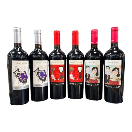KIT C/6 GRAN RESERVA VINA TINAJAS
