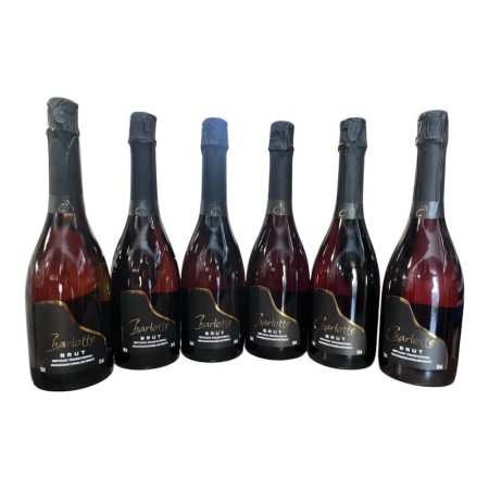 CHARLOTTE BRUT METODO TRADICIONAL CX C/6 CHARLOTTE BRUT METODO TRADICIONAL CX C/6