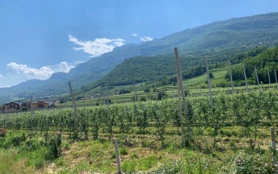TRENTINO ALTO-ÁDIGE - ITÁLIA TRENTINO ALTO-ÁDIGE - ITÁLIA