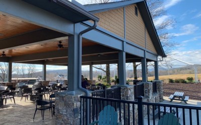 KAYA VINEYARD AND WINERY - GEORGIA - EUA