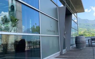 CANTINA D'ISERA - ISERA - TRENTINO ALTO-ADIGE - ITALIA