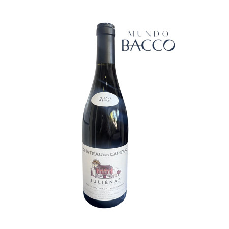 CHÂTEAU DES CAPITANS JULIÉNAS 2020 750ml