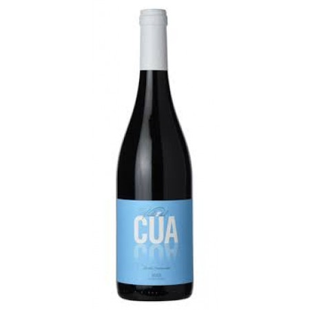 PEIQUE VALLE DEL CUA MENCIA 2016 750 ml PEIQUE VALLE DEL CUA MENCIA 2016 750 ml