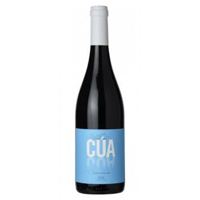 PEIQUE VALLE DEL CUA MENCIA 2016 750 ml