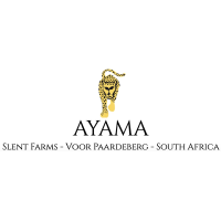 AYAMA WINES