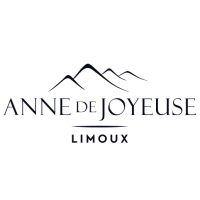ANNE DE JOYEUSE