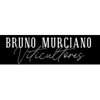 BRUNO MURCIANO & CO