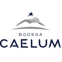 BODEGA CAELUM