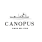 CANOPUS WINES