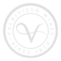 VALDIVIESO WINES