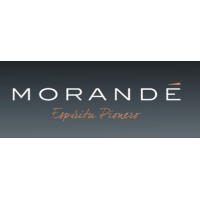 VIÑA MORANDÉ