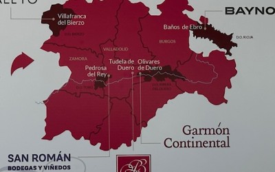 Descubra a Essência dos Vinhos da Vinícola Mauro: Tradição e Excelência Espanhola Descubra a Essência dos Vinhos da Vinícola Mauro: Tradição e Excelência Espanhola