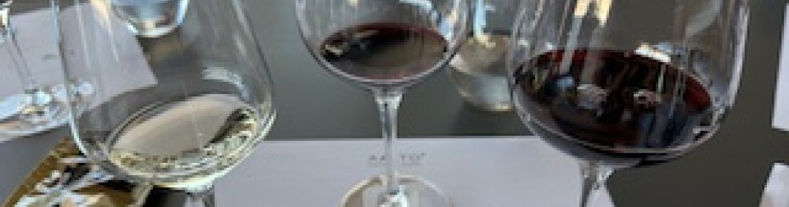 Ribera del Duero: O Berço dos Grandes Vinhos Espanhóis