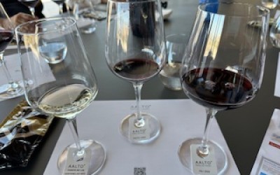 Ribera del Duero: O Berço dos Grandes Vinhos Espanhóis Ribera del Duero: O Berço dos Grandes Vinhos Espanhóis