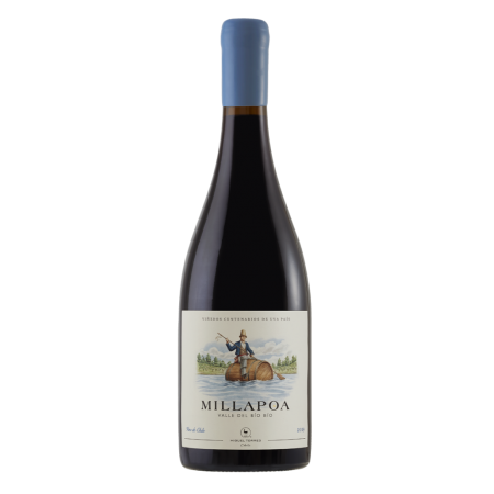 MIGUEL TORRES MILLAPOA PAIS 2019 750 ml MIGUEL TORRES MILLAPOA PAIS 2019 750 ml