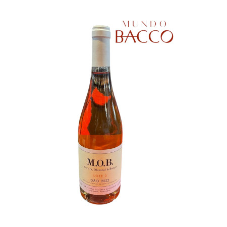 M.O.B. LOTE 3 ROSE