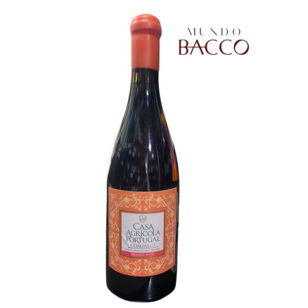 CASA AGRÍCOLA COMPASSO VINHO LARANJA 750ml