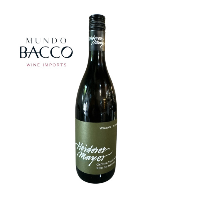 HÖDLMOSER GRÜNER VELTLINER RIED SILBERBERG