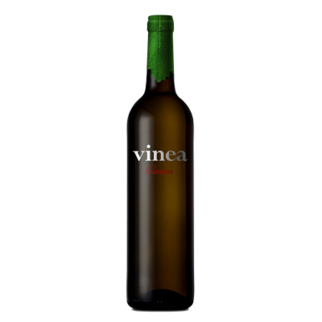 VINEA CARTUXA BRANCO 2020 750 ml 