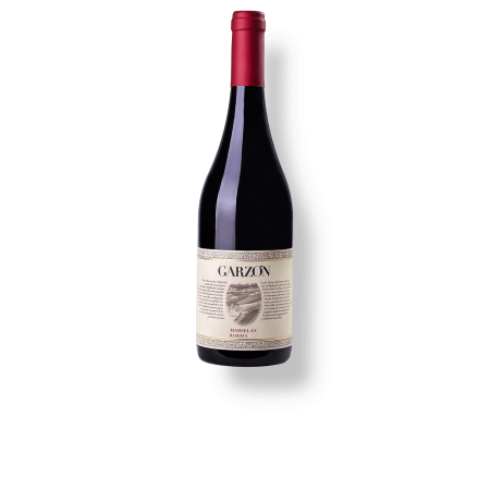 GARZON MARSELAN RESERVA  750 ml GARZON MARSELAN RESERVA  750 ml