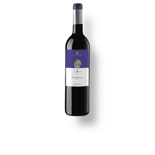 VALDEHERMOSO JOVEN TINTO 2020 750 ml